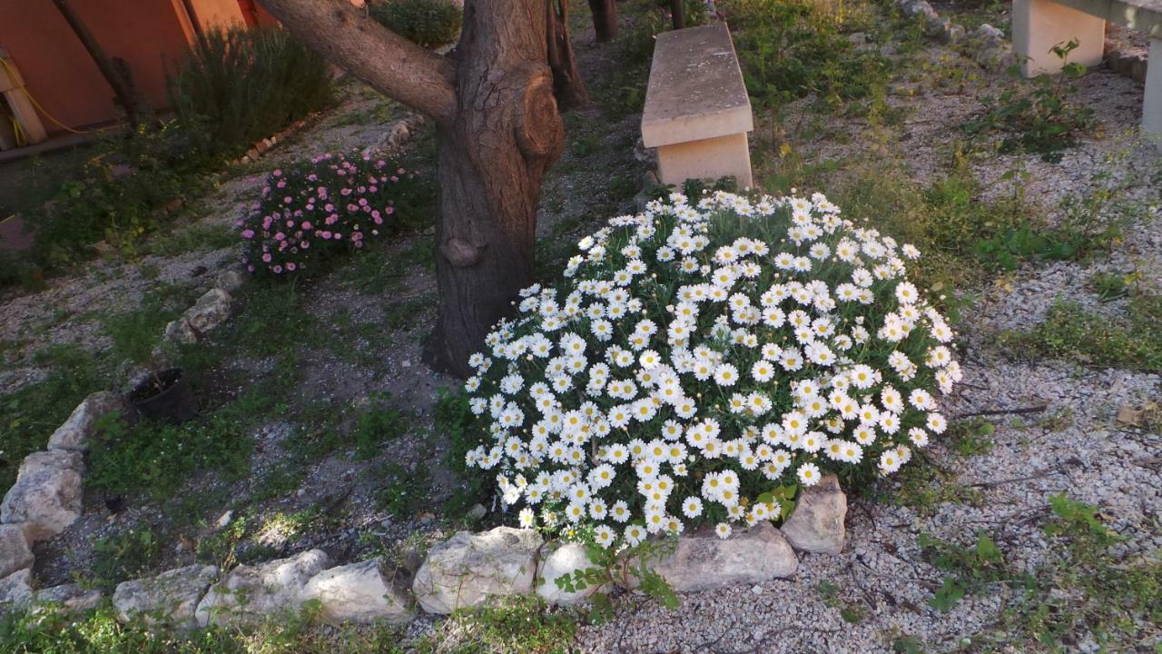 לינה וארוחת בוקר Quartu SantʼElena Oasi Ottocento מראה חיצוני תמונה