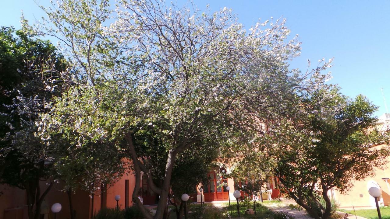 לינה וארוחת בוקר Quartu SantʼElena Oasi Ottocento מראה חיצוני תמונה